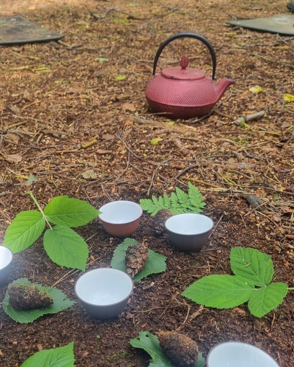 We had a wonderfully relaxing time at our 'Held by Nature' workshop, where participants connected deeply with nature and practiced mindful techniques. Want to join us next time? Our next workshop is on Saturday 6th of July. linktr.ee/grow_wellbeing