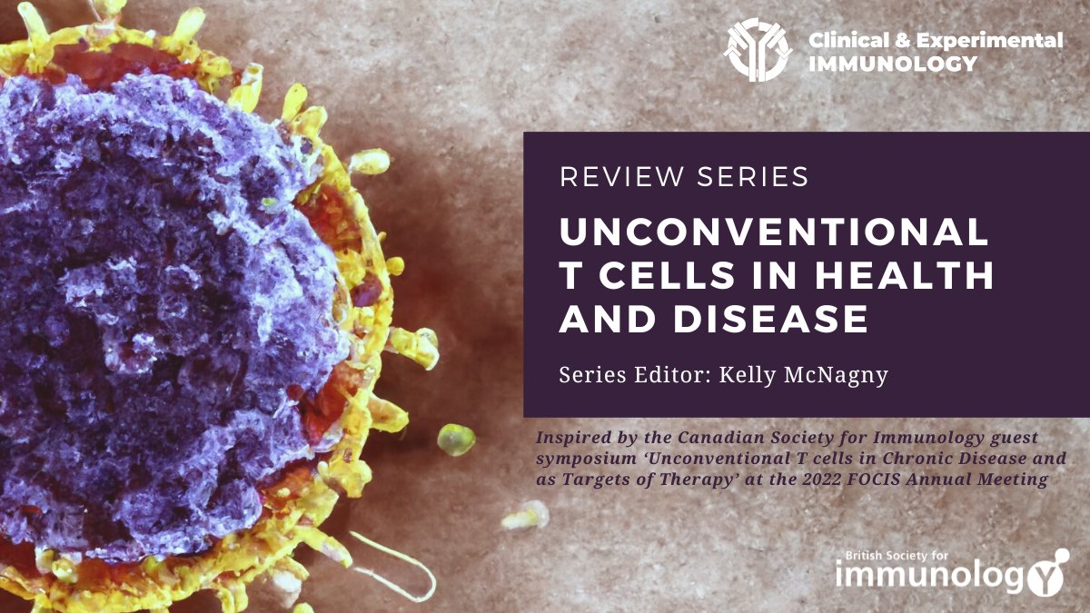 Review Series: Unconventional #Tcells in health & disease ✨ 7 articles provide insight into these less-widely studied cells including #MAITcell interactions, #FOXP3 regulators, #ILCs & #Tregs in therapy Guest edited by @KMcNagnylab 👏 Free to read ➡️bit.ly/3JDOjvy