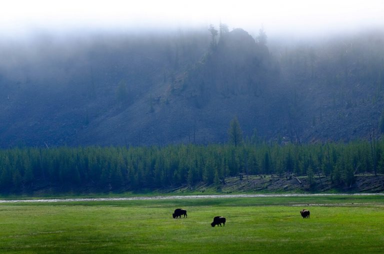 DuttonLegacy's tweet image. 𝙴𝚟𝚎𝚛𝚢 𝚜𝚝𝚘𝚛𝚖 𝚛𝚞𝚗𝚜 𝚘𝚞𝚝 𝚘𝚏 𝚛𝚊𝚒𝚗, 
     𝚓𝚞𝚜𝚝 𝚕𝚒𝚔𝚎 𝚎𝚟𝚎𝚛𝚢 𝚍𝚊𝚛𝚔 𝚗𝚒𝚐𝚑𝚝 𝚝𝚞𝚛𝚗𝚜 𝚒𝚗𝚝𝚘 𝚍𝚊𝚢.