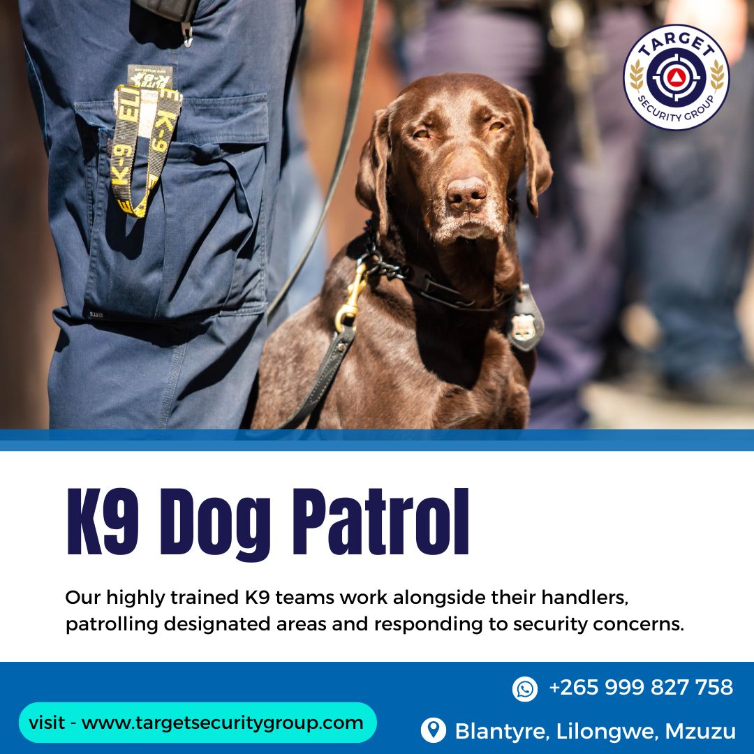 Strength in every bark. 🐕💪 Our K9 Dog Patrol unit is a powerful deterrent against crime. 🚓

Their sharp senses and quick response keep communities and public spaces safe. 🛡️

#Targetsecuritygroup #K9Unit
.
Visit - targetsecuritygroup.com
Dm us on WhatsApp: +265 999 827 758