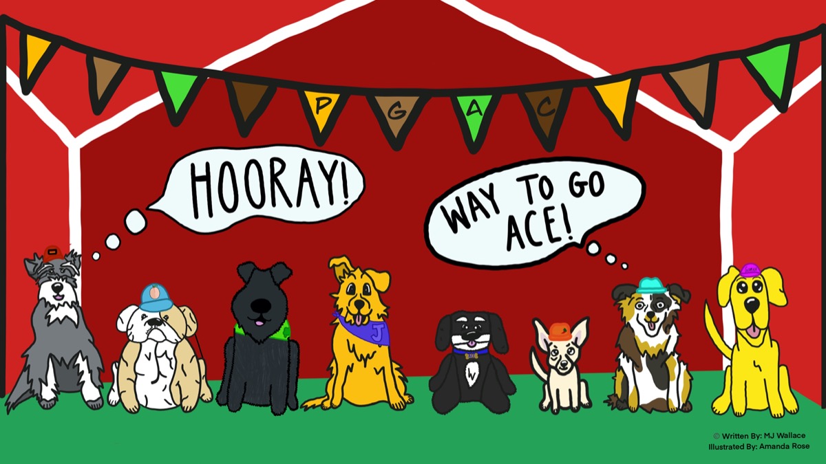 MJWallace1963's tweet photo. Earning the title 'Hole in One Pup' isn't easy! Spunky Havanese pup, Ace, must learn good 'sportsdogship' &amp; make the right decision even though it could cost him the Championship! #KidPitLit #PB #INSP https://t.co/KEVONRIq6o