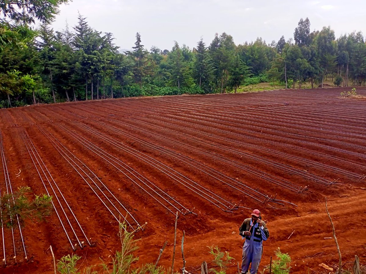 End result! 
Successful commissioned and handed over.