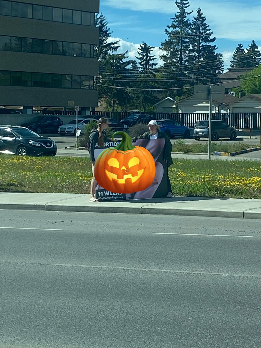 Driving on International Ave today at about 4:45pm and the prolife crowd was out with those banners. I don’t think the mail bylaw covered this so I wrote the mayor’s office, ward 9 & 10 to double check. #yyc #yyccc