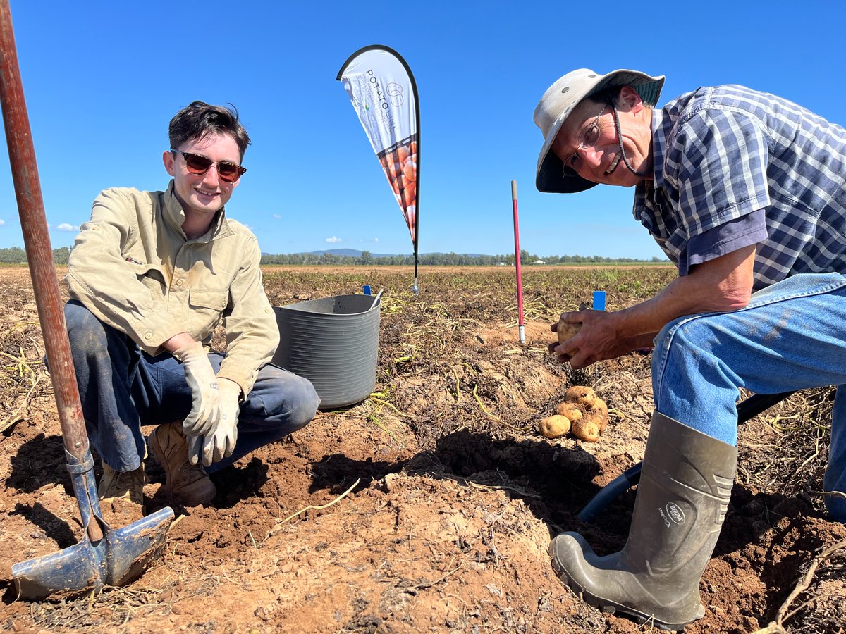 PotatoLink is proud to celebrate the first #InternationalDayofPotato ! 🥔🌏

Thank you to all those who have engaged with the project, both in Australia and Internationally, and to the growers, agronomists, researchers and industry members who make Aussie spuds great.