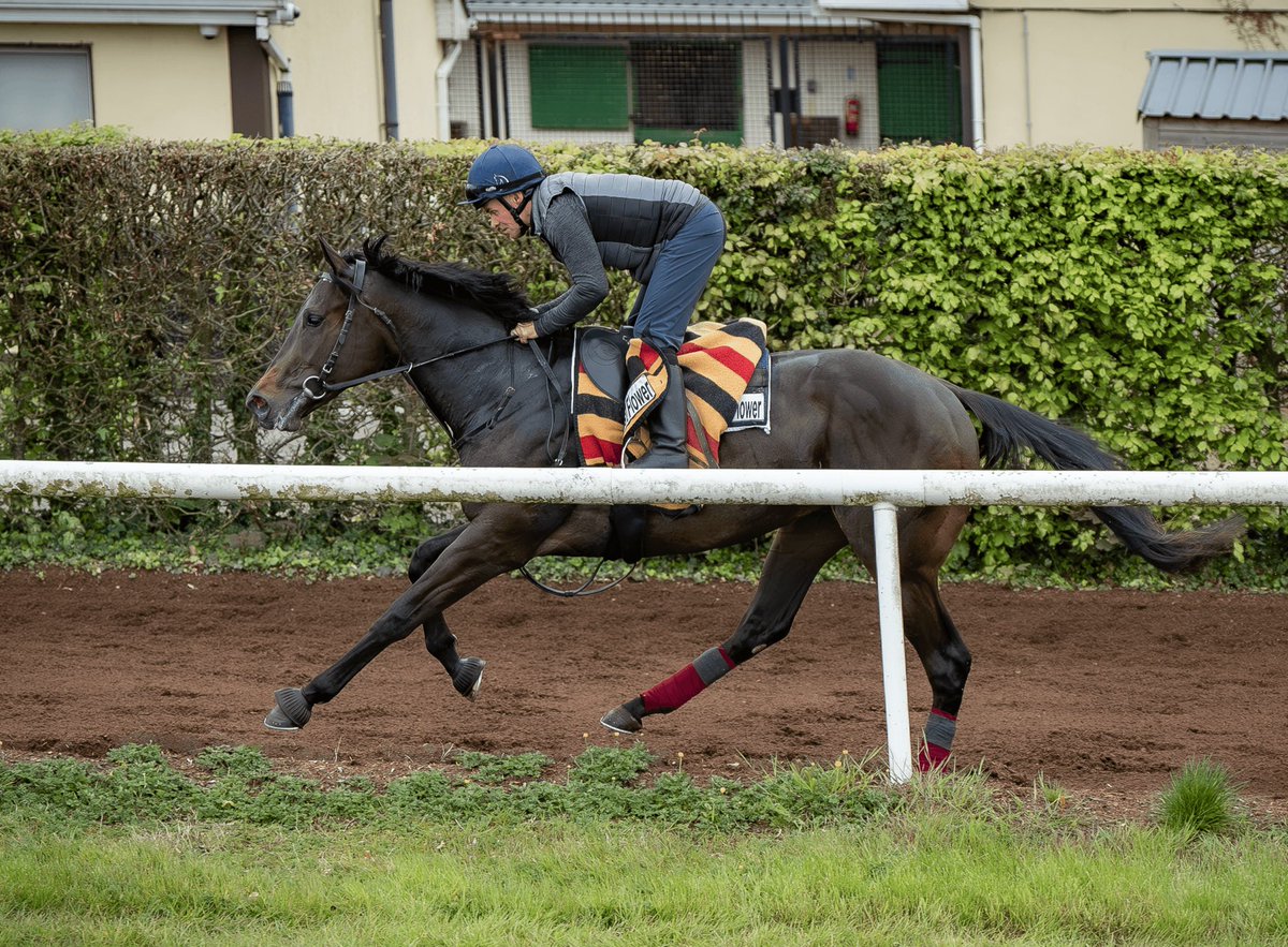 Matt Ober tweet media