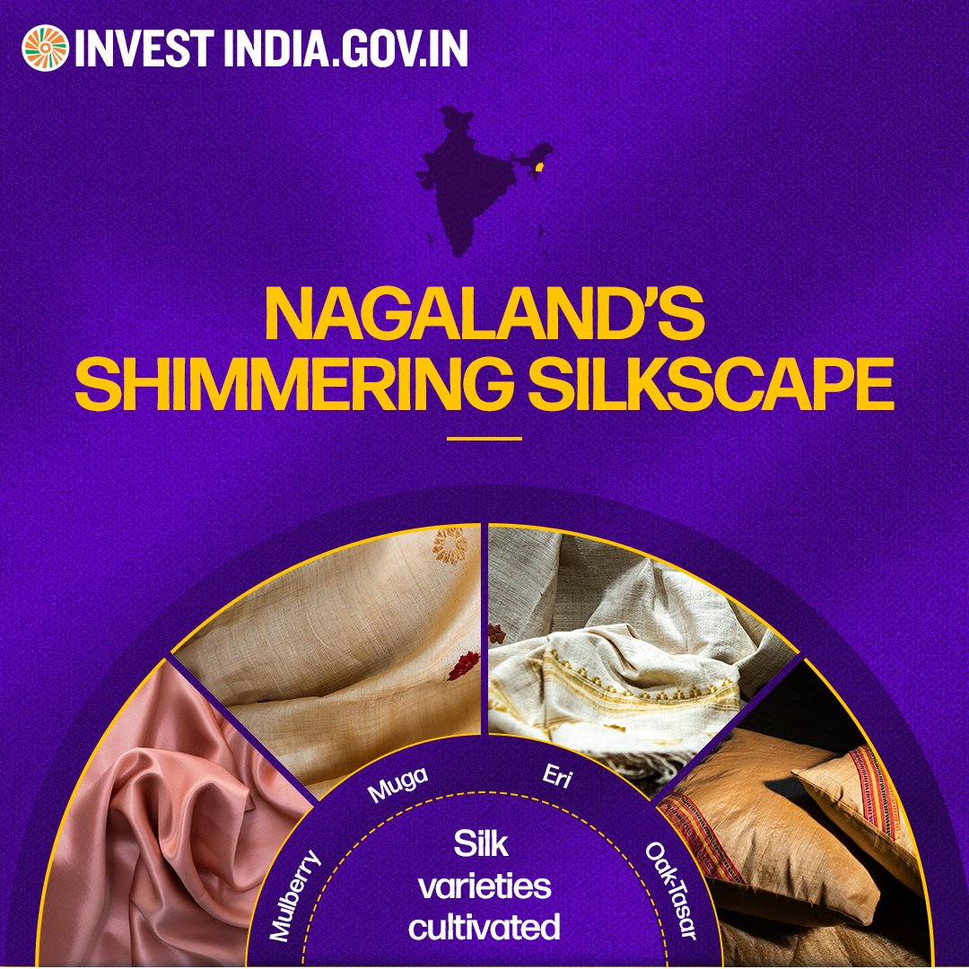 Nagaland is shimmering with possibilities in the #silk industry, with ~25% yearly increase in #silkproduction to reach ~380 MT in 2023-24. Are you ready to shine with #Nagaland?✨ Explore investment avenues here: bit.ly/II-Nagaland #InvestInIndia #InvestIndia