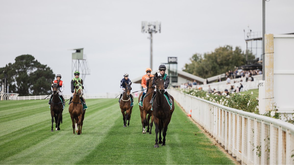 A massive morning of course proper jump outs at #Mornington🏇 yesterday. 📹: bit.ly/4dUAE0N
