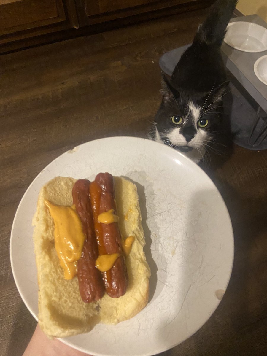 GRUGCEL's tweet image. lubed frot  dog