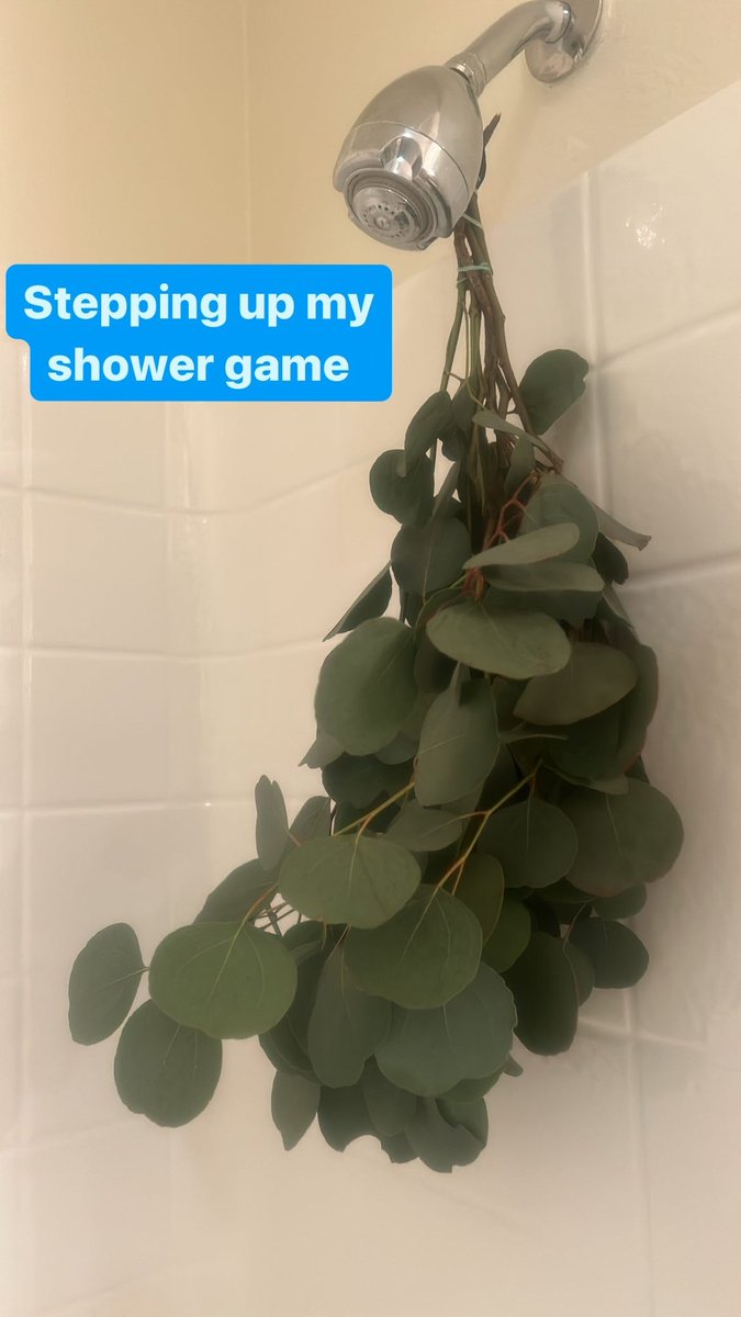 Any little things that make a big change in your day? Eucalyptus in the shower is fantastic