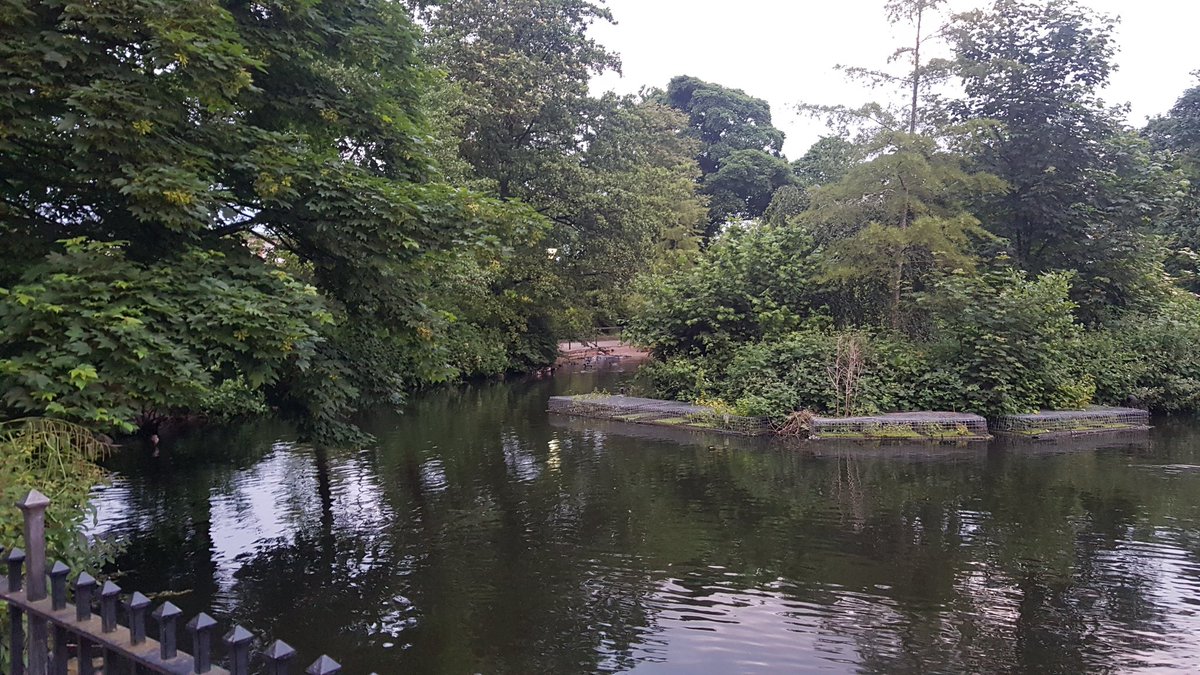 Richwhitty63's tweet photo. Good morning #Arnold #Nottingham https://t.co/JtNP4XggeG
