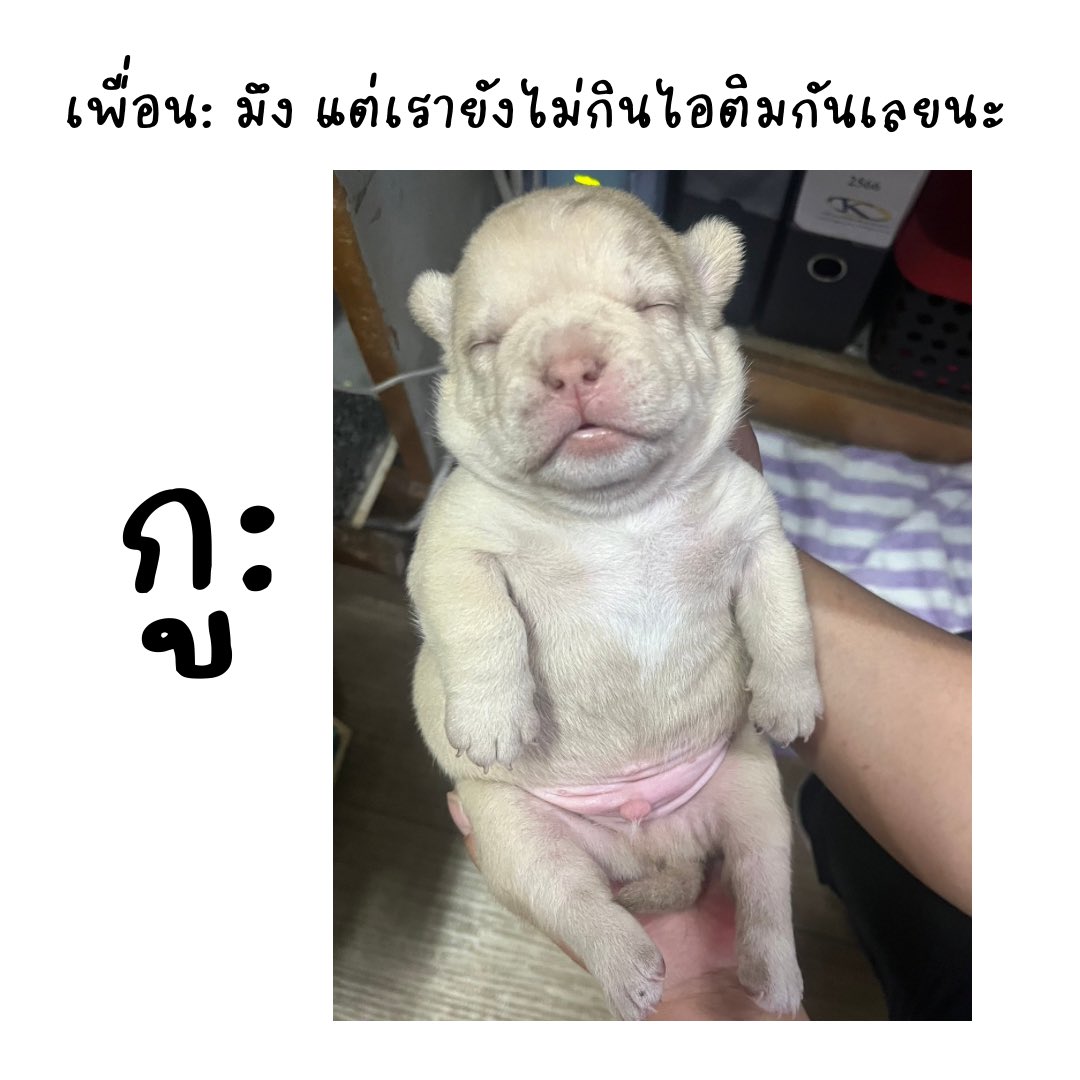 さっちゃん 🩵🪽 tweet media