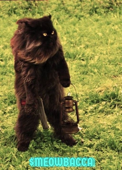@dj_budsol But the $BACCA party is just getting started. Just hit Raydium. 

It’s Chewbacca’s cat, with a handgun and a lantern. He’s ready af. 

2o1VbHdPChCkpKwqhStfztQXPcZGkKDdsJRd6J56tjDb

t.me/meowbaccasol