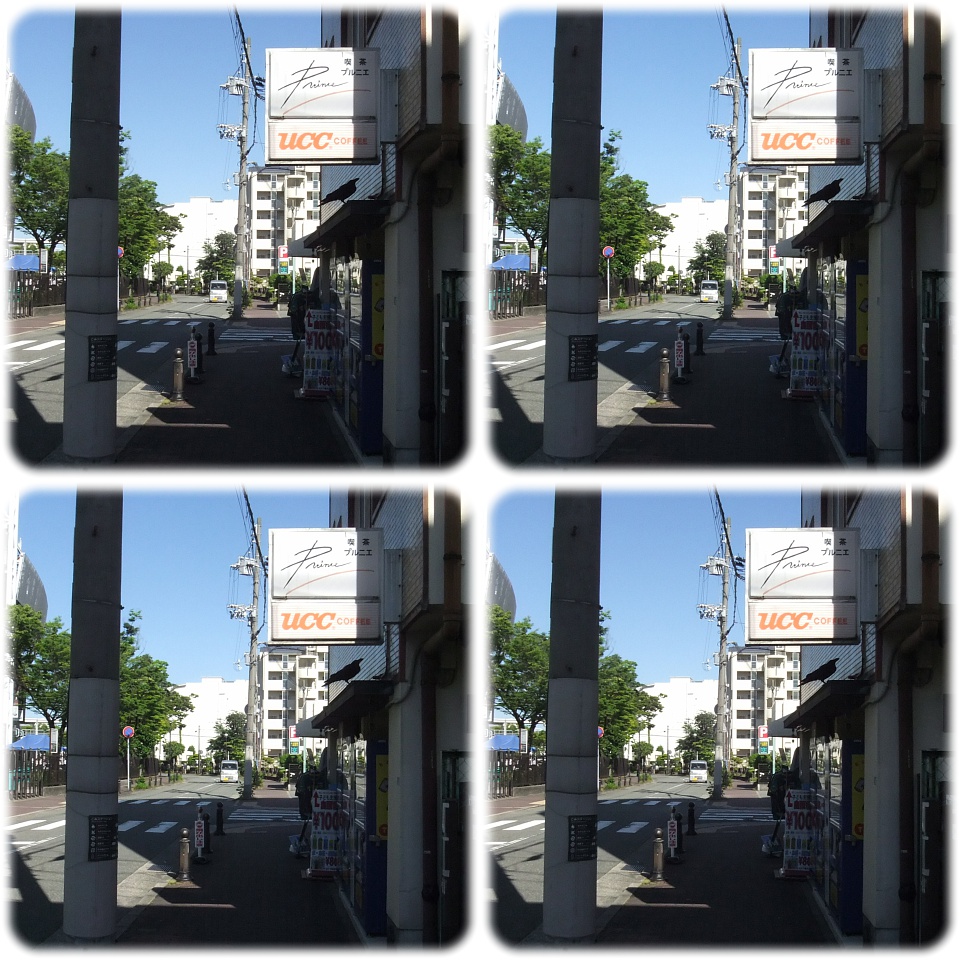 5月29日

ハシブトガラスが飴ちゃん（？）をコンコンしてひびを入れてるのを目撃（割ろうとしてる感じではない）．

▼立体写真▼
[o^o] #Parallel
[oxo] #Crosseyed
 #stereoscopic #stereoscopy #3d