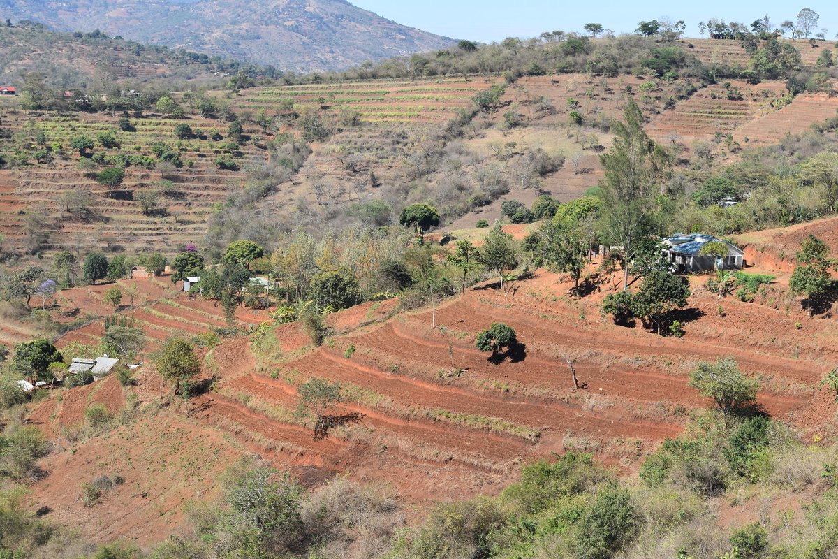 Ethiopia has embarked on one of the most ambitious programs on #forest landscape restoration with a commitment to restore more than 20 million hectares of degraded forest landscapes by 2035. Learn about the PATSPO project ⤵️ bit.ly/49HDjry #Trees4Resilience