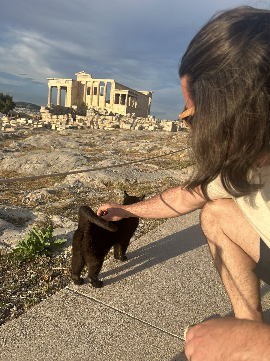 Cats of Greece… a 🧵