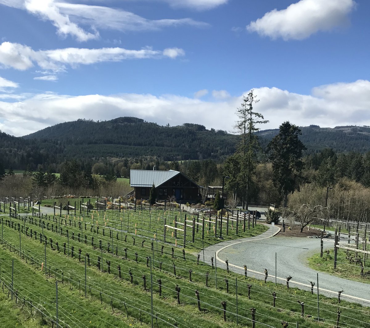It is official Blue Grouse Estate Winery has confirmed that the talented Stacy Hornemann has been hired to take the winery to the next level. gismondionwine.com/blog/vancouver… #bcwine #vancouverisland #islandwines