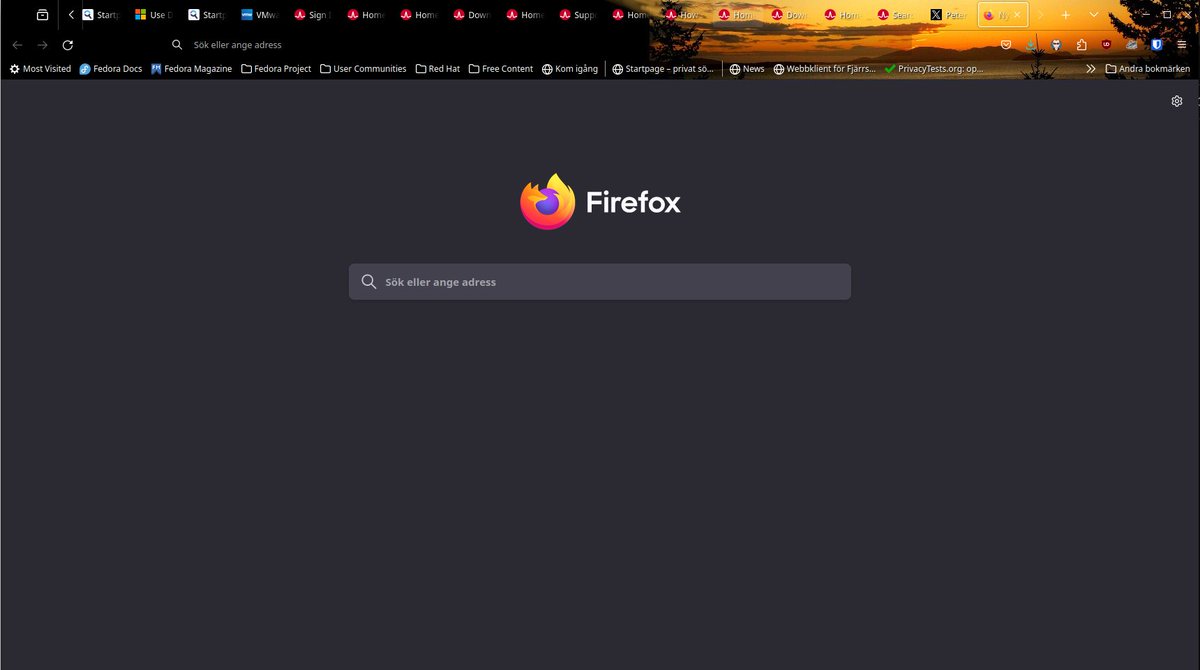 13 open tabs later, and I finally got VMware Workstation Pro downloaded... :-D