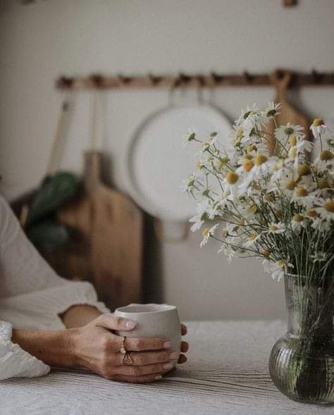 Ecco cos'è la cura.... Si versò una tazza di gentilezza e bevve, promettendo di curare se stessa con amore, rispetto e pensieri gentili, fino alla sua prossima tazza. 🦋☕🤗🐾💙 Janet O'Connell #BuongiornoATutti