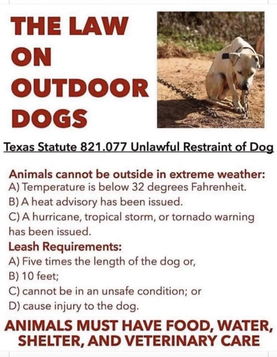 KAArescue's tweet photo. It is against the law to leave your dog outside in extreme weather conditions, especially restrained. Heat advisories are a common occurrence around here. Please follow the law and take care of your pets!! And if you see something, say something!!  We all need to be accountable. https://t.co/lkEskHLj0A
