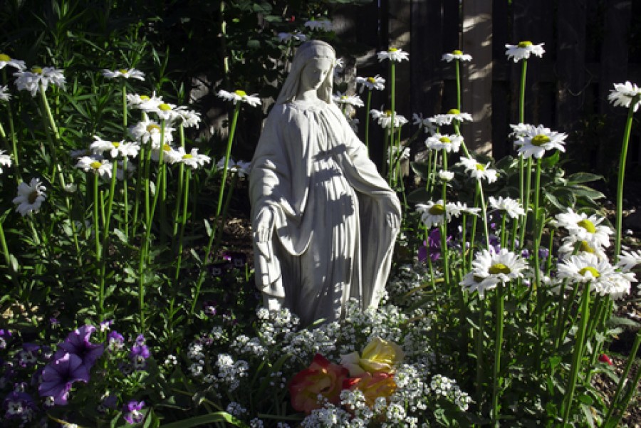 30 May: St Ernéne, & Cuanna 'was the dear bush (of protection)' MartG. Little-known saints in medieval Irish martyrologies. Not known when or where they lived. 📷©Shutterstock