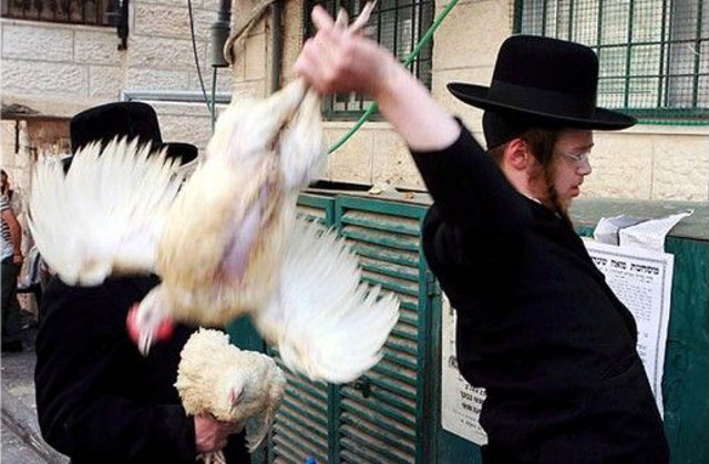 60,000 Chickens are Swung and Slaughtered on Public Streets During Ritual Sacrifice People who practice Kaporos believe that they are transferring their sins from the preceding year to a live chicken, and, by sacrificing the chicken, thereby absolve themselves of those sins