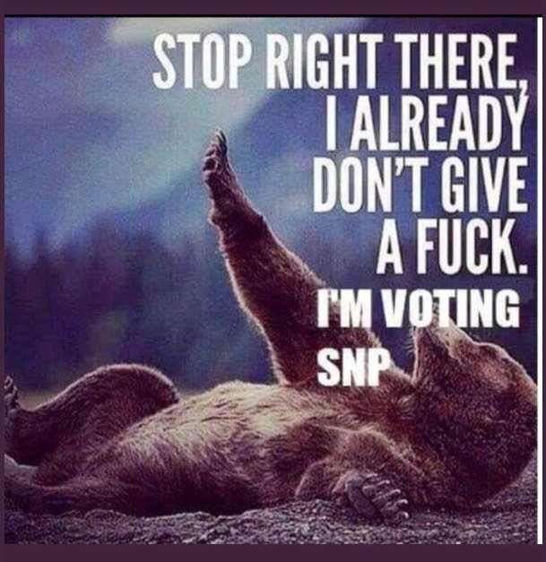 Will you vote SNP?