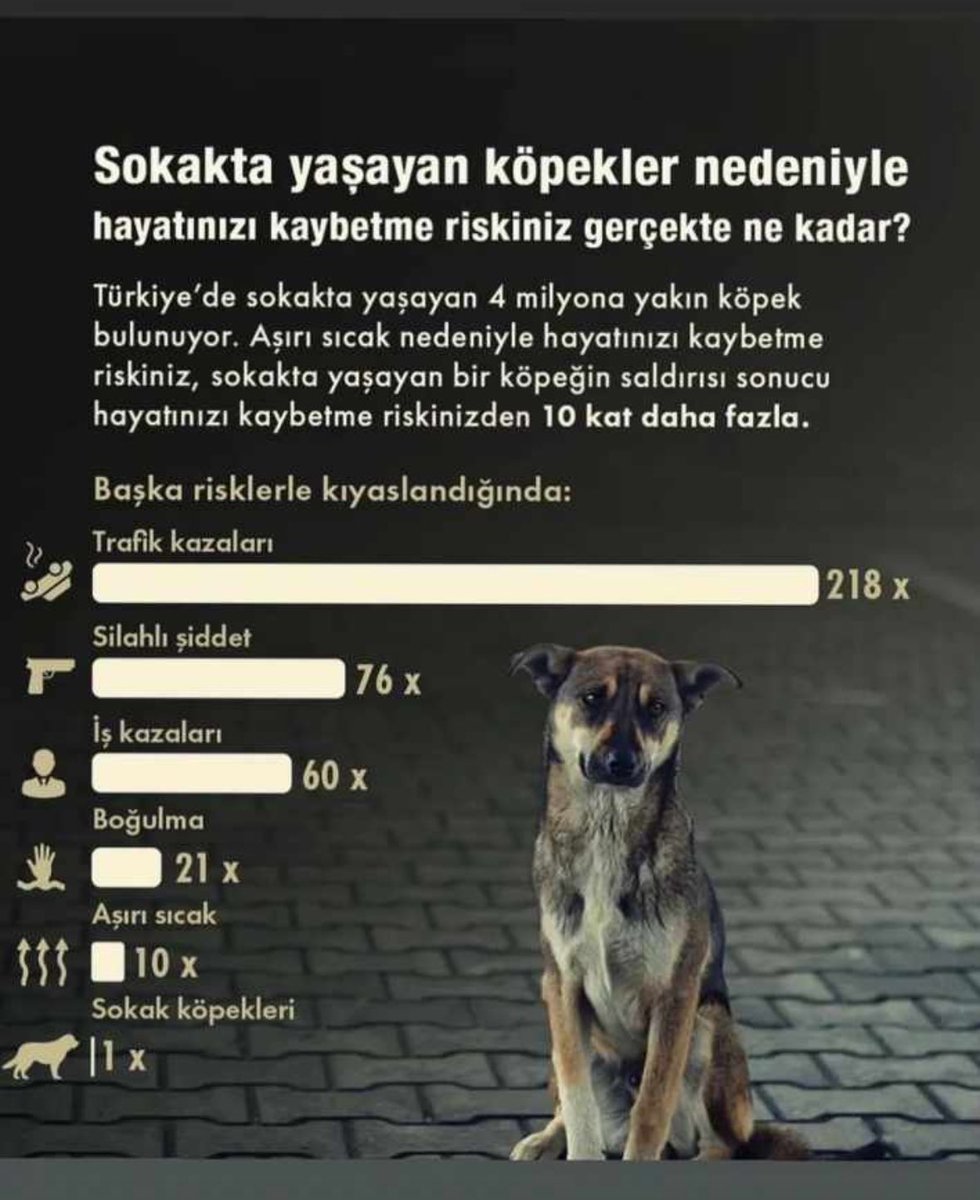 Aşırı sıcaktan ölme riskiniz 1 köpeğin sizi ısırma riskinden daha fazla