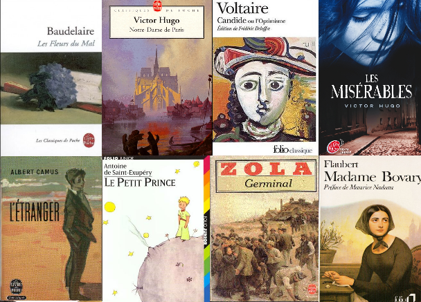 Libri preferiti della letteratura francese?
#librarsinelmondo