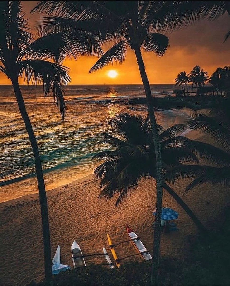 Hawaii 📍