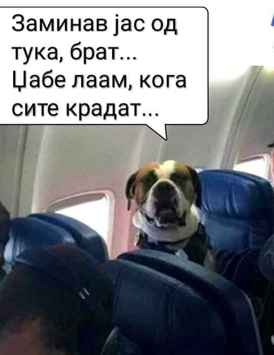 ДечкотоОдЦентар (@deckotoc) on Twitter photo 