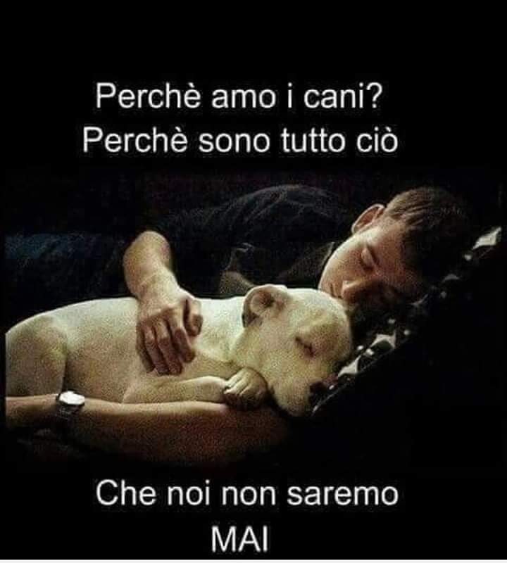 Tutti gli animali direi..Buongiorno a tutti ☕️🥐🌻🐾🐶🐈‍⬛🥰😘🍀🍀 #GoodMorning💙