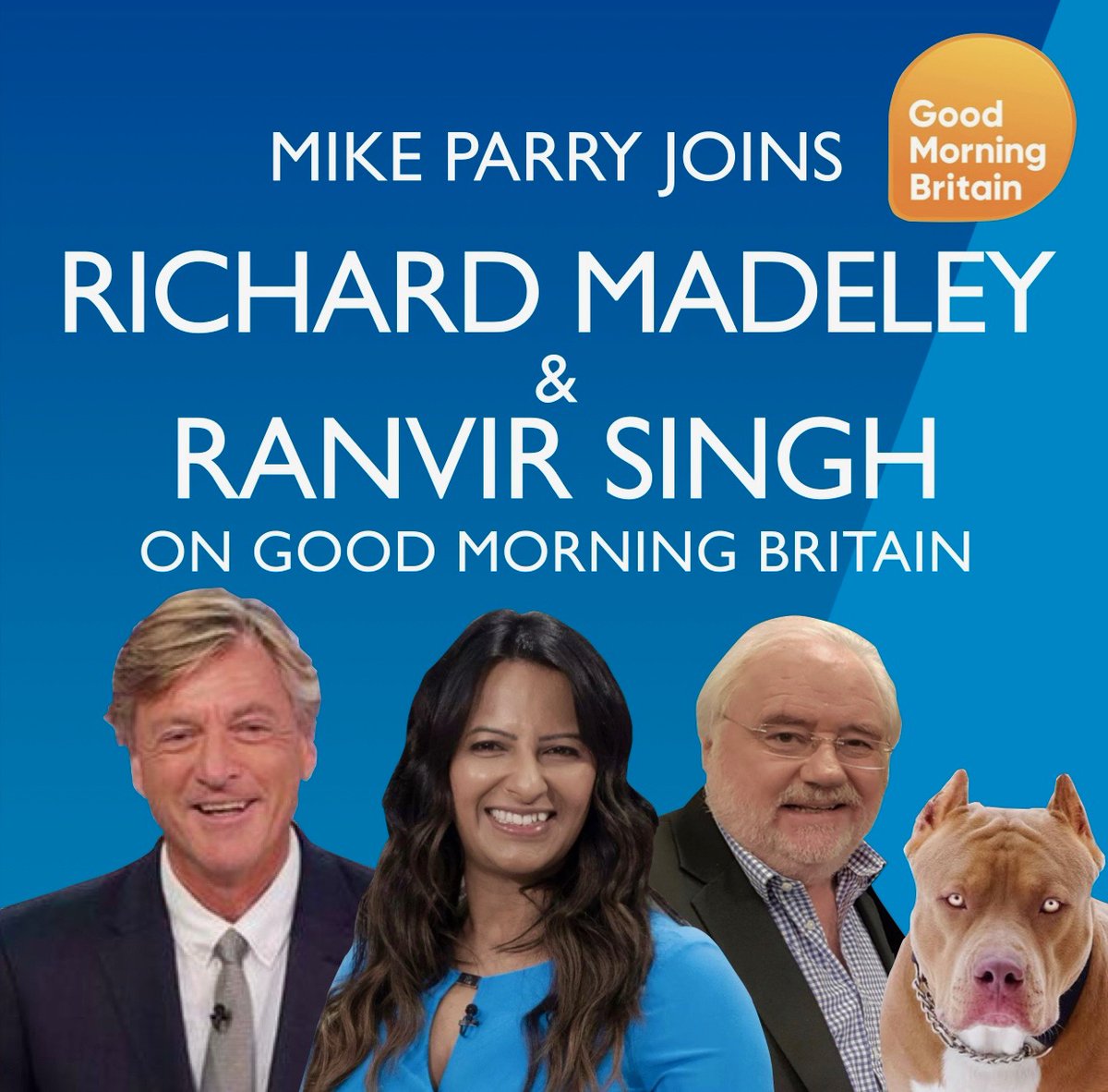 OK FOLKS .. I'm getting involved in the XL bully dog debate on Good Morning Britain today with @richardm56 and @ranvir01 .. I don't think they should be allowed at all in this country .. They're simply too dangerously unpredictable .. Get tuned to @GMB 🧐 🖥 🎤