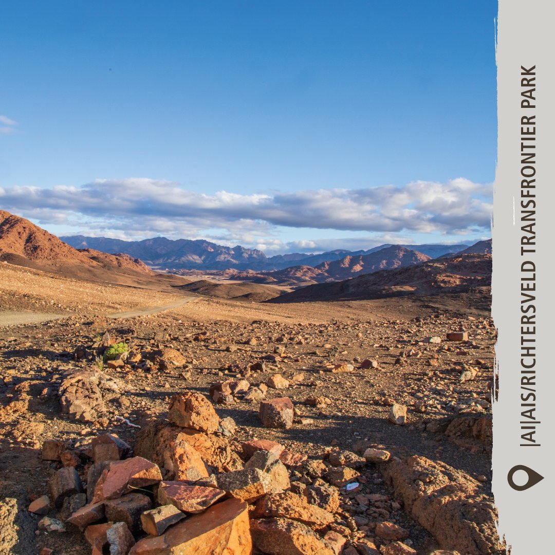 Atop the Rooiberg Pass is a grandeur of the |Ai-|Ais/Richtersveld Transfrontier Park’s landscapes… Recline into the summit as you soak up the masterpiece of panoramic vistas before you… 

#AiAisRichtersveldTransfrontierPark #LiveYourWild #SANParks #WildBackyard