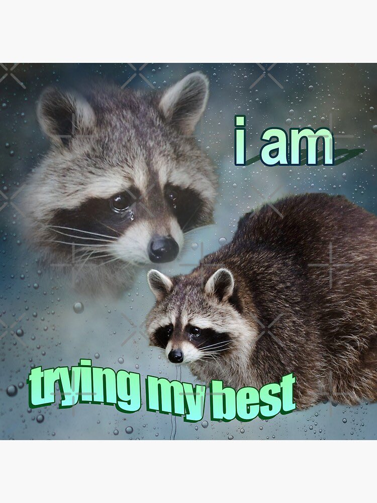 raccoonesthetic's tweet photo. https://t.co/FNoemKehZw