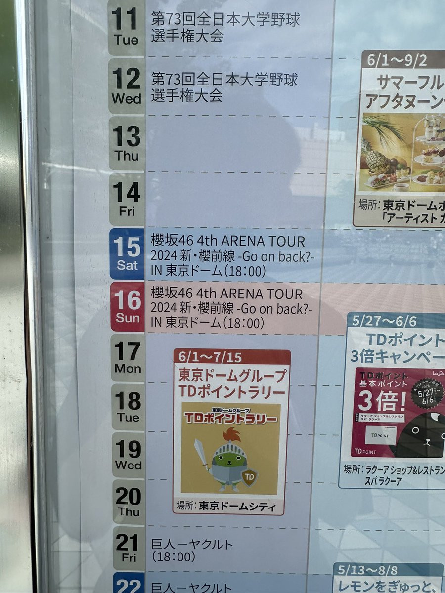 東京ドームのスケジュール表に「櫻坂46」の文字があるだけでテンションが上がるようになってる