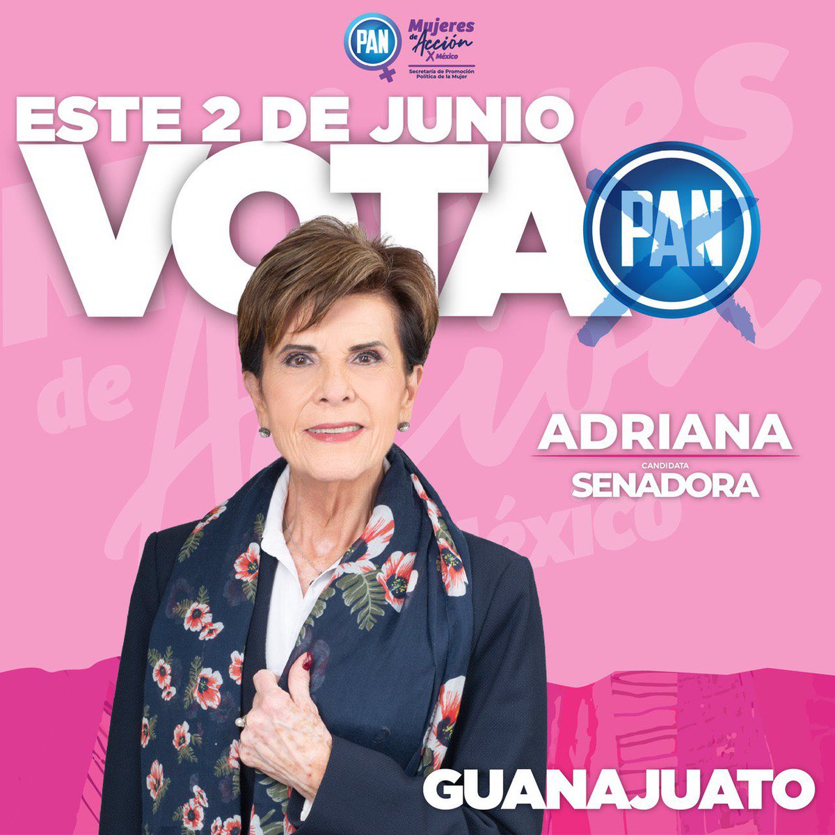 Este próximo 2 de junio vota por nuestra candidata a senadora en #Guanajuato @AdrianaRdzViz
#LlegóLaHoraDeAvanzar #mujeres #ClaroQuePodemos #VotaPAN #AdrianaCandidataAlSenado
#VotaPAN 💙