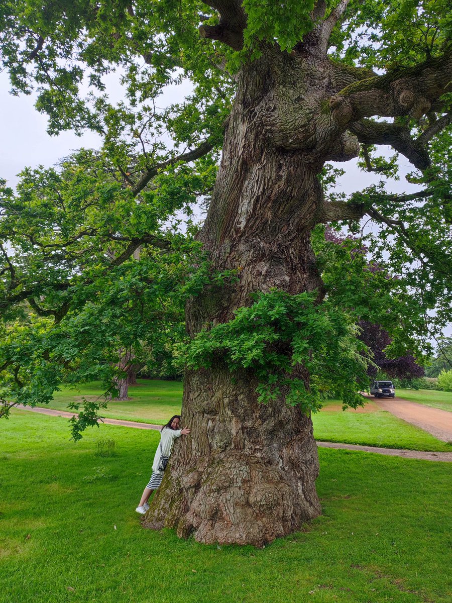 Suvianna Hakalehto tweet media