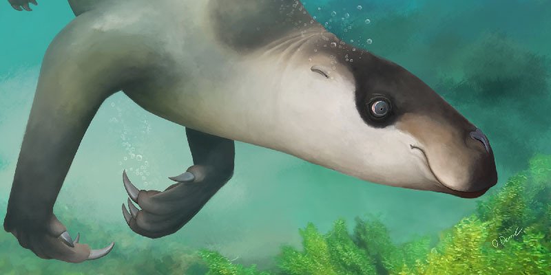 Sloth Whales started showing up....it's not too late to buy at this low.......Buy and HOLD!!!!