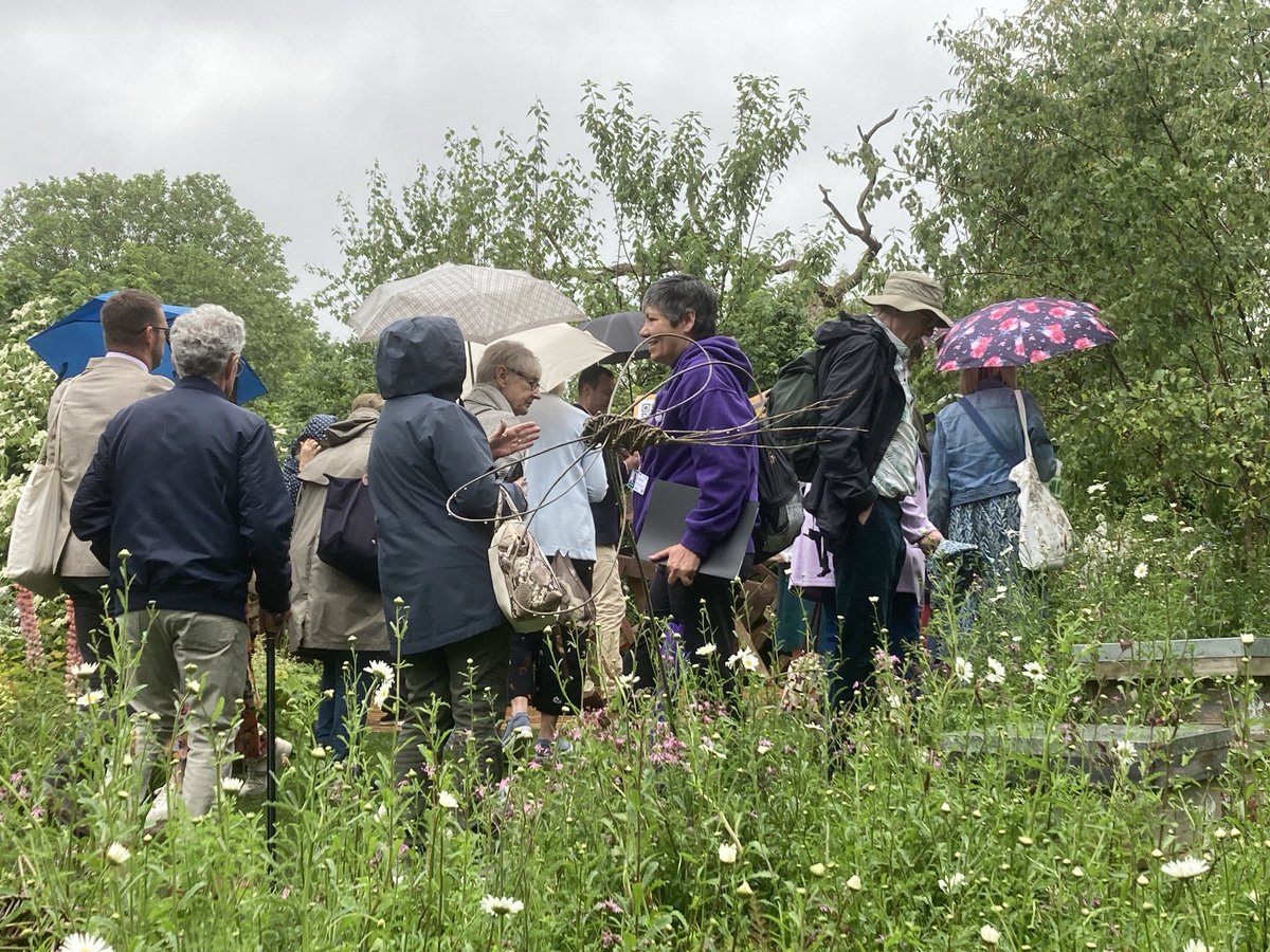 The Friendship Garden at #RHSChelseaFlowerShow attracted great interest, even on the rainy days! Celebrating 60 years of #BritaininBloom #Bloom60 ⁦@RHSBloom⁩ #communitygardening  The_RHS