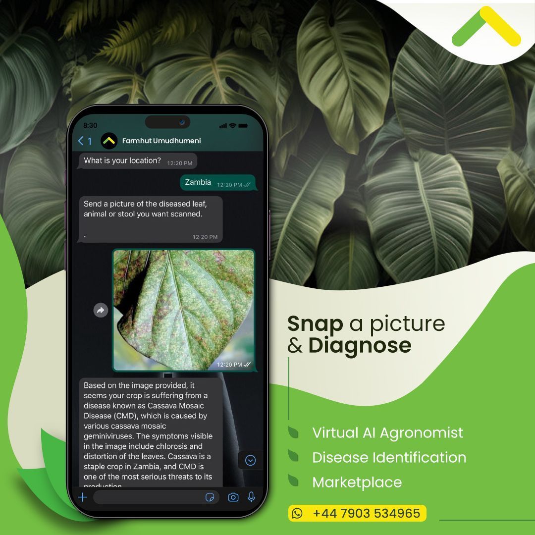 Get accurate results and expert advice right at your fingertips. - Identify crop diseases with a photo - Monitor livestock health with ease - Access customized care plans instantly All conveniently on WhatsApp! Link: wa.me/447903534965