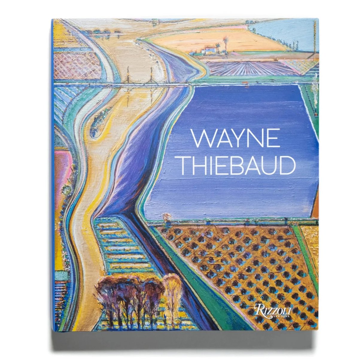 ウェイン・ティーボーの画集はこちらもございます。掲載作品の選定には