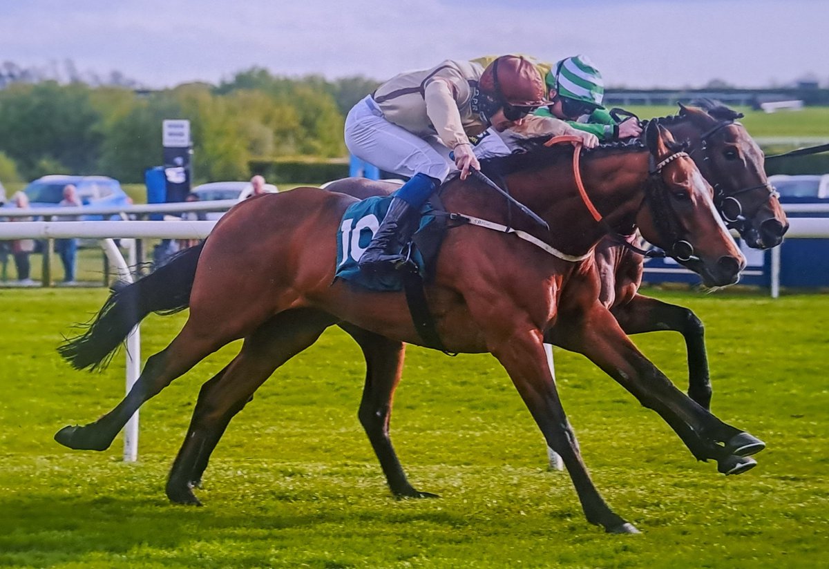 1 runner in the 5.25 @RiponRaces our @SimonWhitaker4 trained VARIETY ISLAND & @CamHardie_96 takes the ride.

Good Luck To All Connections🤞🤞🤞🐎🐎🐎

#fingerscrossed @RSAsyndicates @GParkRacing #racehorseownership #syndicates #horseracing #sports