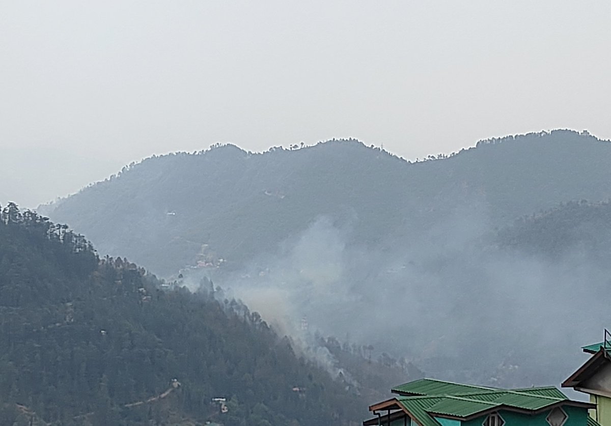 It's sad to see Shimla burning everyday. #ForestFires #Shimla