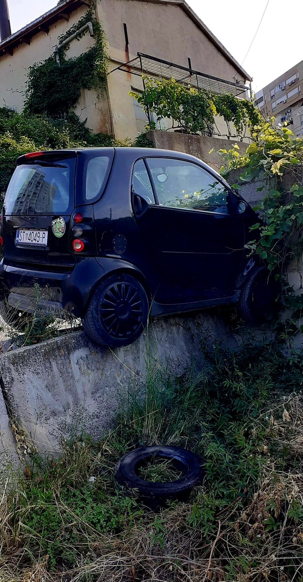 adasvoja's tweet image. a ovo Meri ide na kavu 😇 #trstenik