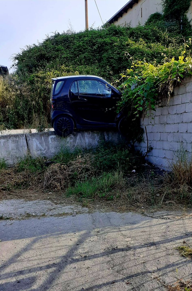 adasvoja's tweet image. a ovo Meri ide na kavu 😇 #trstenik