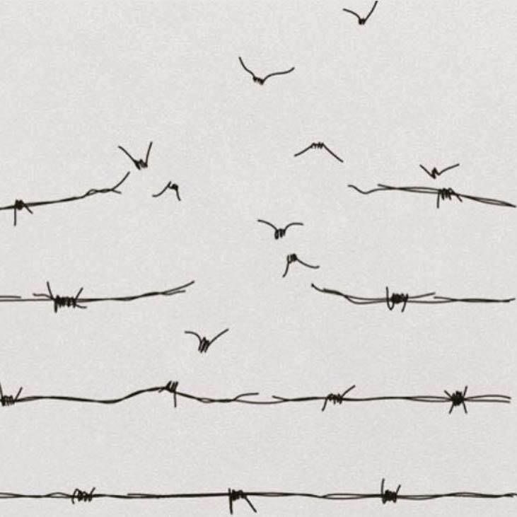 𝗚𝗘𝗡𝗘𝗥𝗔𝗧𝗜𝗢𝗡 𝗢𝗙 𝗦𝗖𝗔𝗥𝗦 tweet media