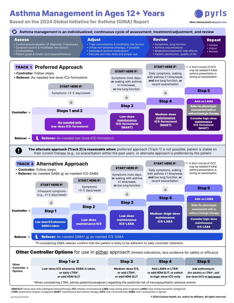 2024 Asthma Pharmacotherapy

@PyrlsApp #Meded #medx #asthma