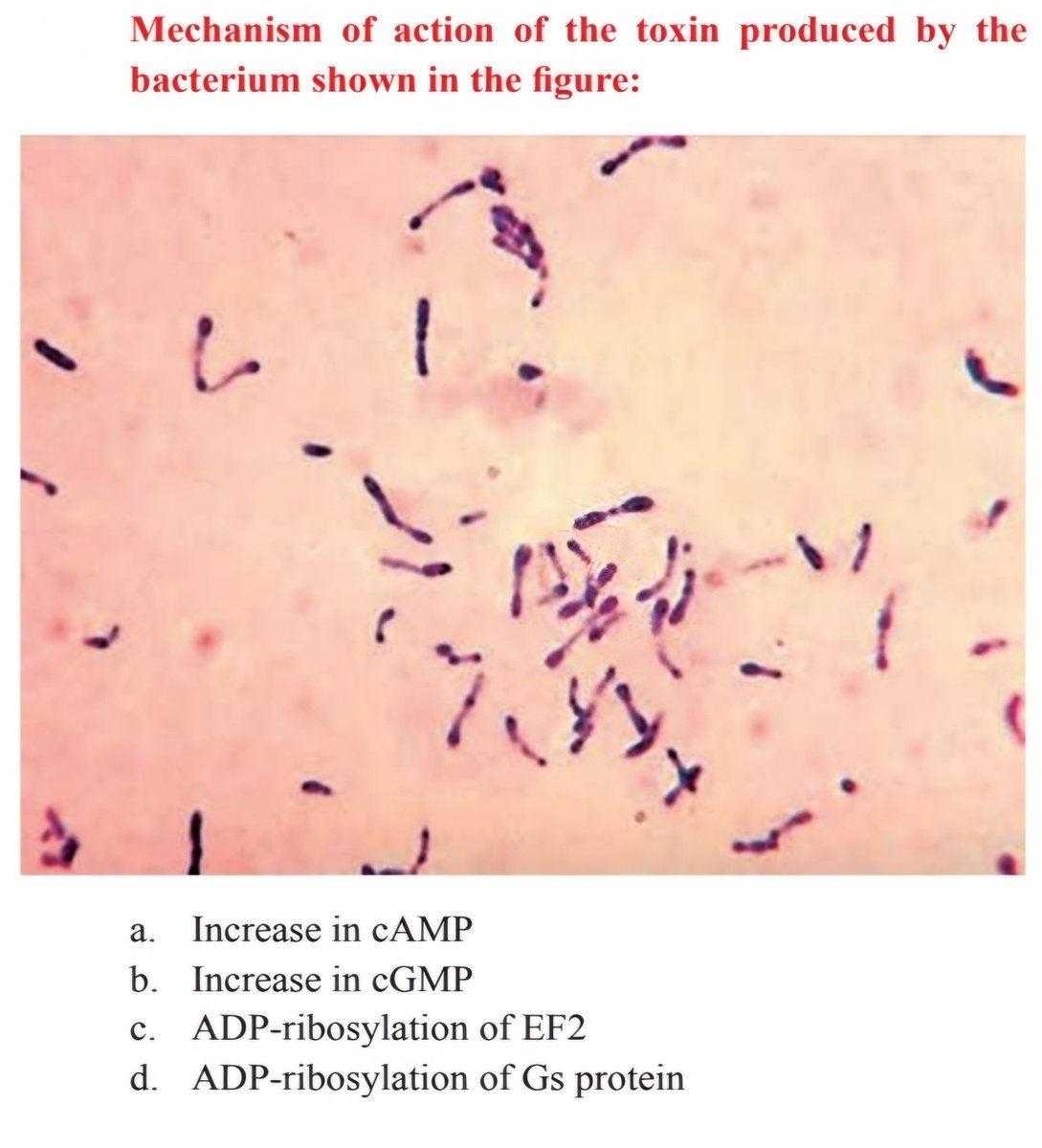 Comment your answer? 

#NEET #USMLE #INICET #MEDX