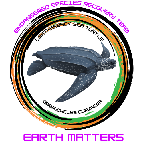 By supporting the Earth Matters Endangered Species Recovery Team, you contribute to vital conservation projects aimed at protecting the Leatherback Sea Turtle and ensuring its survival for future generations. 
xen-image.printify.me/products