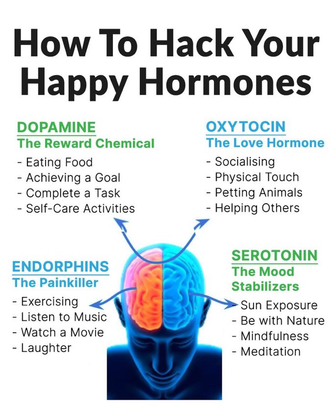 #Happy Hormones hacks! #dopamine #EatRight #Endorphins #walk #oxytocin #help #serotonin #nature #laungher #MindfulLiving #mindfulness #music #help #sun #water #air #space #fire #selfcare #goal #friend #social #life